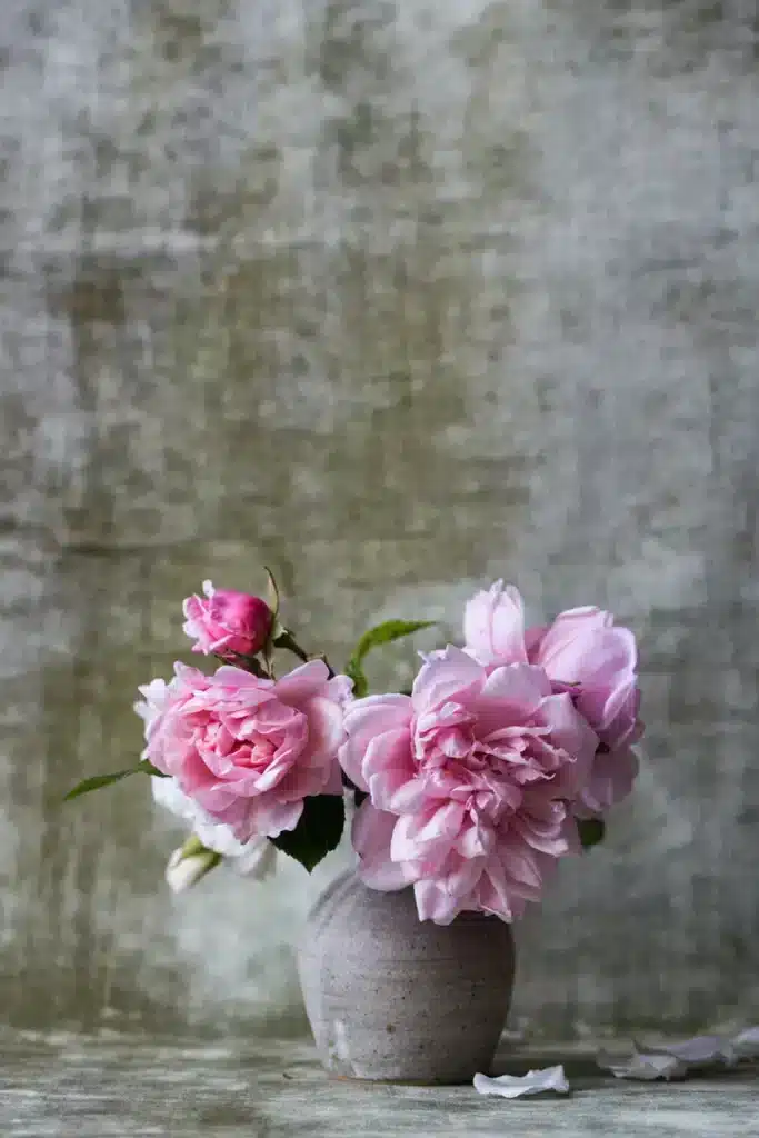 Roze pioenrozen in een vaas gemaakt van klei