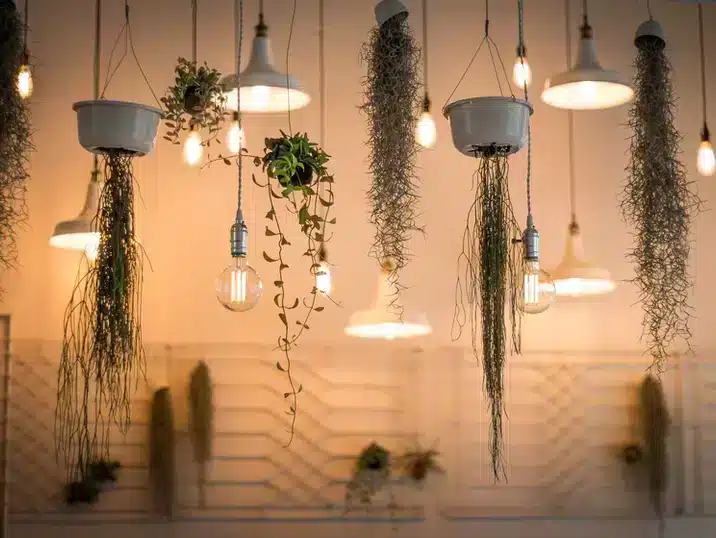 Verschillende hangplanten en ertussen hangende lampenkappen gemaakt van klei